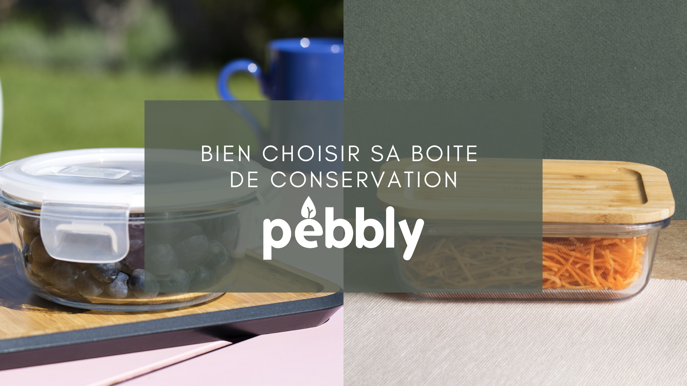 Comment choisir sa boite de conservation Pebbly ?